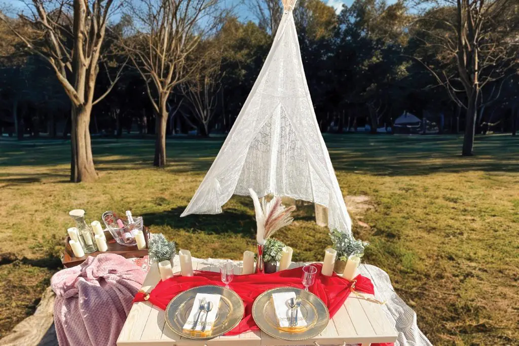 From cozy and playful picnics to romantic, detail-rich tablescapes, each Hill City Picnics setup is tailored to the moment—designed for connection, celebration, and ease.