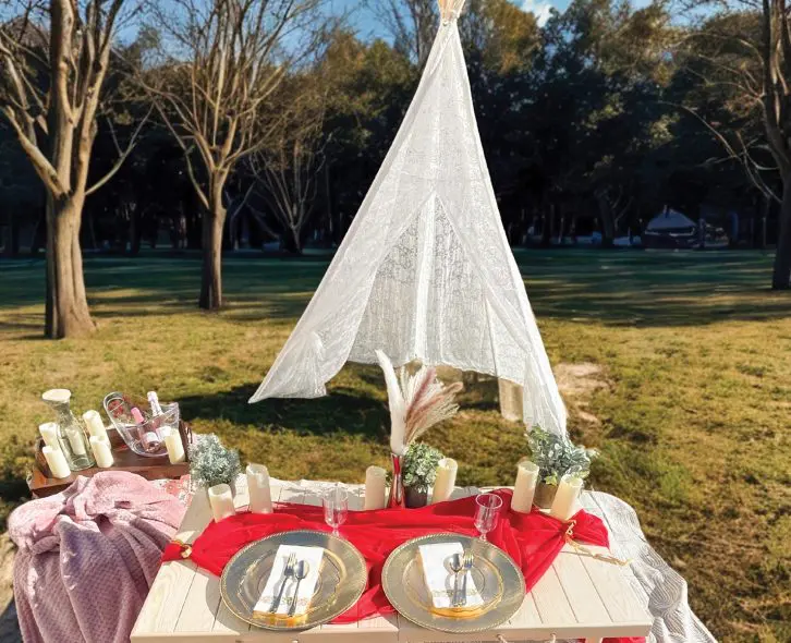 From cozy and playful picnics to romantic, detail-rich tablescapes, each Hill City Picnics setup is tailored to the moment—designed for connection, celebration, and ease.