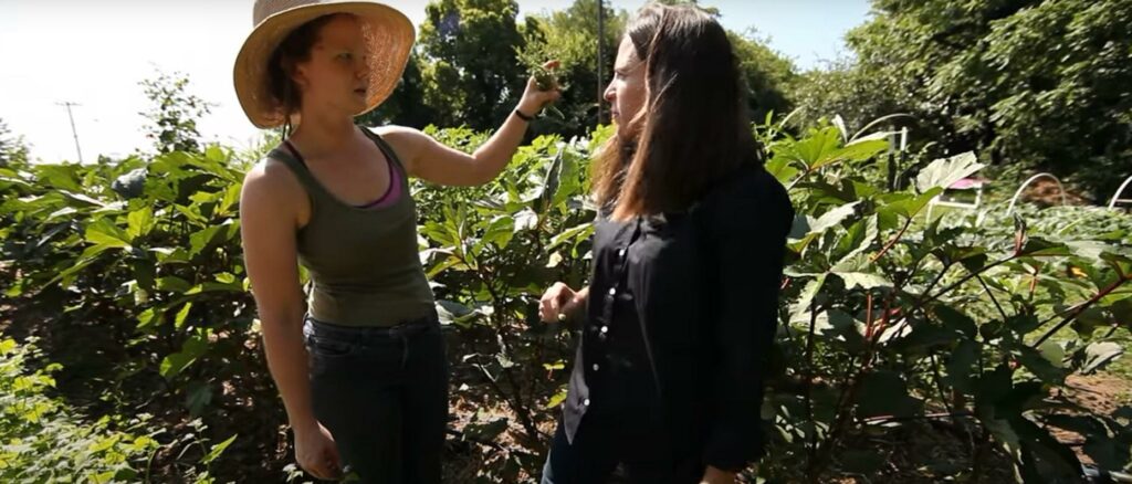 Living In a Food Desert – Tricycle Gardens