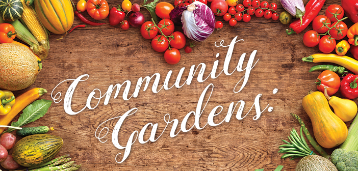 Community Gardens