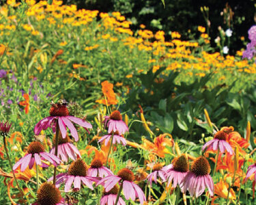 Contemporary Garden Concepts