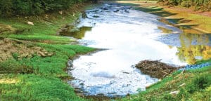 A Reprieve for Lynchburg’s Only Lake