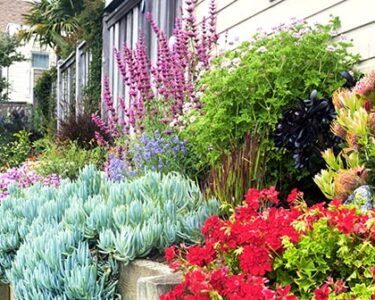 Your Personal Oasis