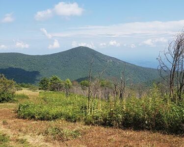 The Cole Mountain Loop