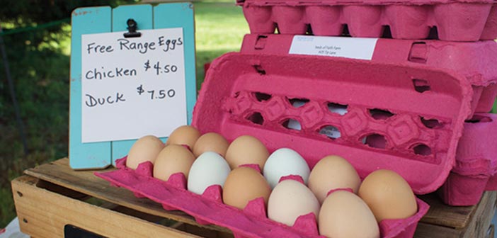 Farmer's Market Round Up