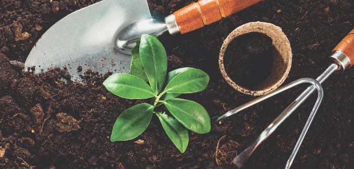 Gardening Gadgets for Gifting