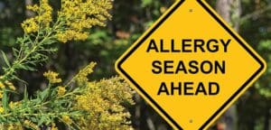 NATURAL RELIEF FOR SEASONAL ALLERGIES