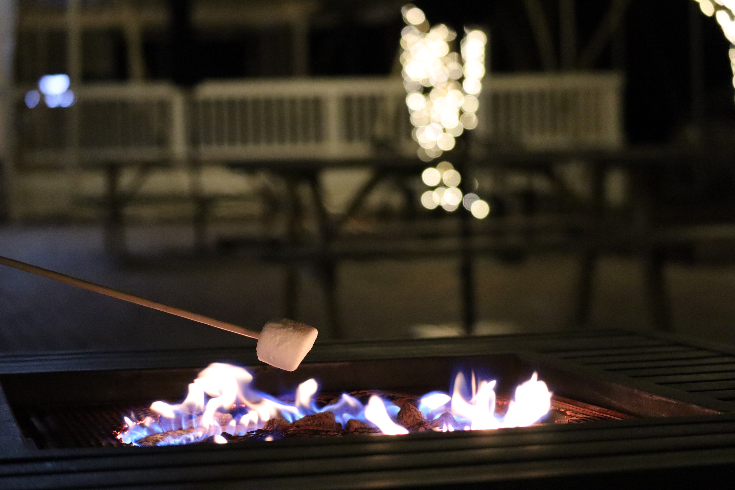 Roasting s'mores in front of the tasting room at Veritas WInery