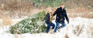 christmas tree farm