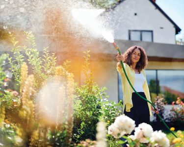 lady watering the garden
