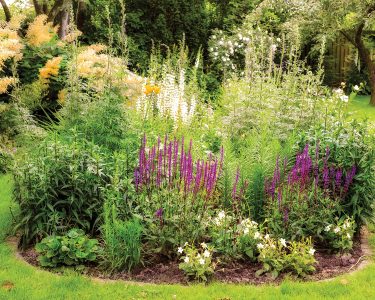 A beautiful and serene ornamental garden showcasing vibrant flowers and lush greenery. The arrangement includes purple blooms surrounded by diverse flora, creating an inspiring and peaceful natural landscape.