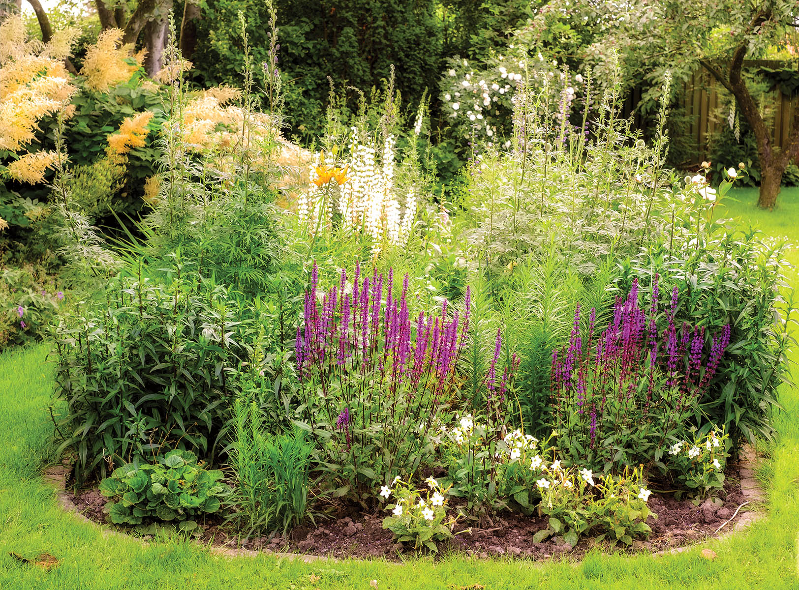 A beautiful and serene ornamental garden showcasing vibrant flowers and lush greenery. The arrangement includes purple blooms surrounded by diverse flora, creating an inspiring and peaceful natural landscape.