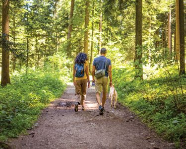 Rear view of mature couple walking with their pet dog on dirt track passing through forest.