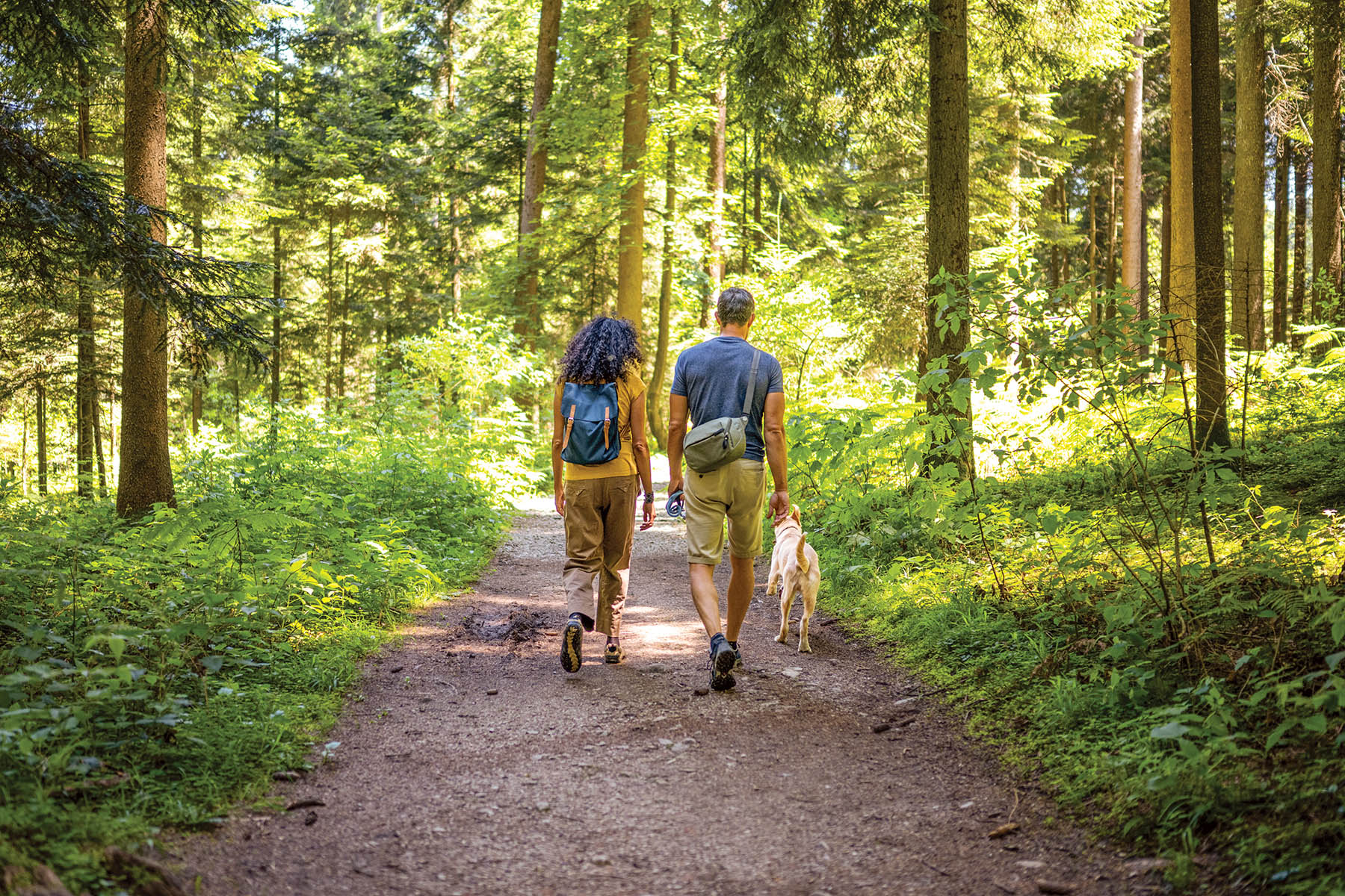 Rear view of mature couple walking with their pet dog on dirt track passing through forest.