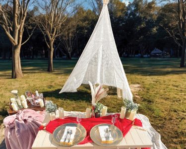 From cozy and playful picnics to romantic, detail-rich tablescapes, each Hill City Picnics setup is tailored to the moment—designed for connection, celebration, and ease.