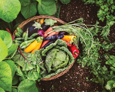 Vegetables from Garden Ext GettyImages-1644584475